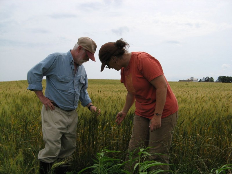 Molly Breslin and her father inspecting a field of rye