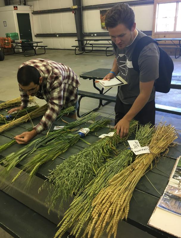 Kyle and Hazim with grains