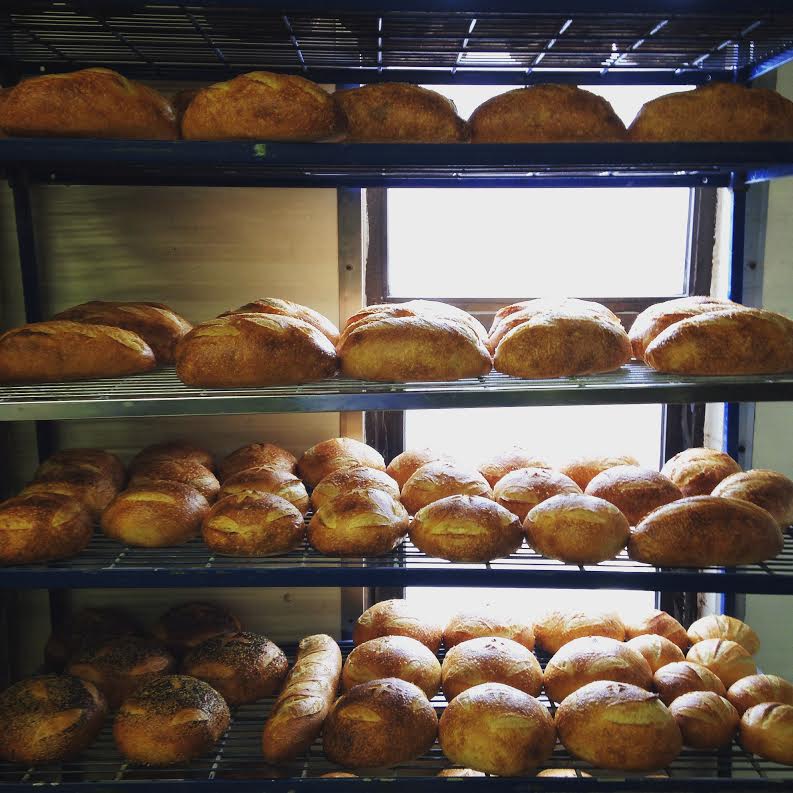 rack of sourdough loaves