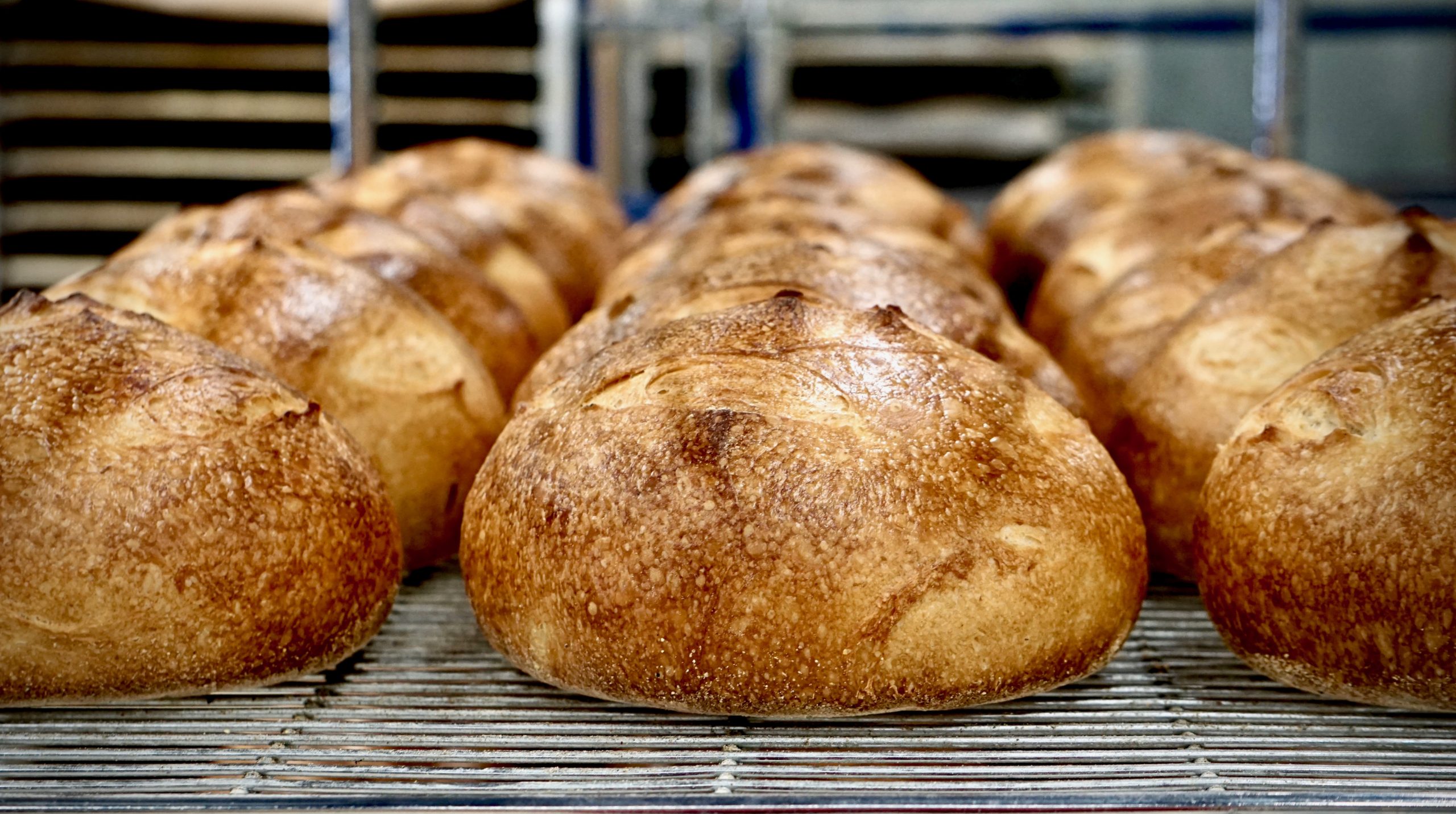 How to Make Sourdough Bread  A Beginner's Guide - The Farmstyle