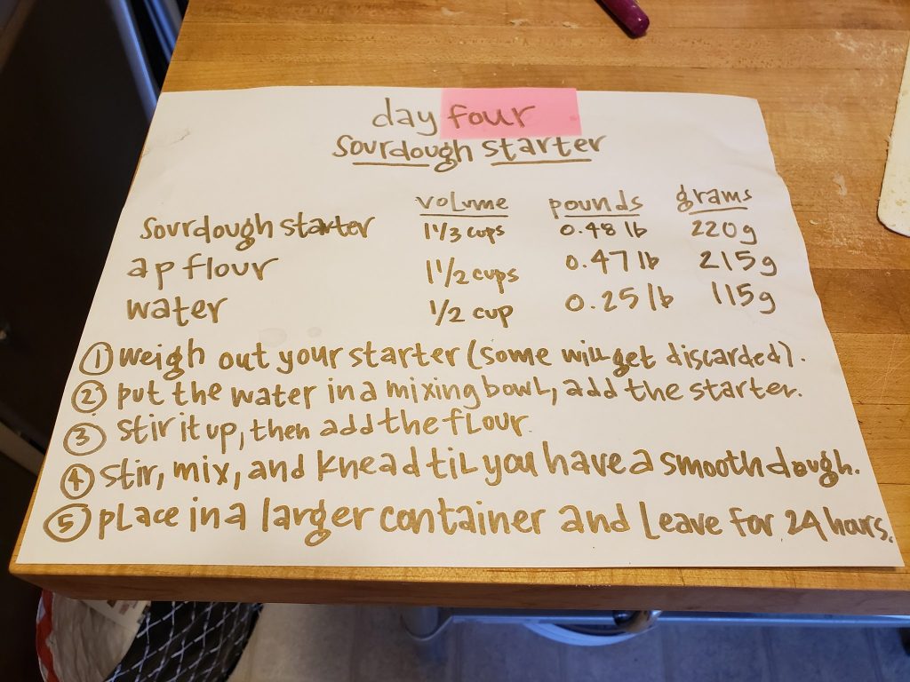 sourdough starter day 4 recipe