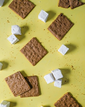 marshmallows and graham crackers virtual classes