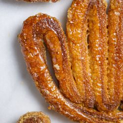 close up, overhead, partial view of 3 palmiers