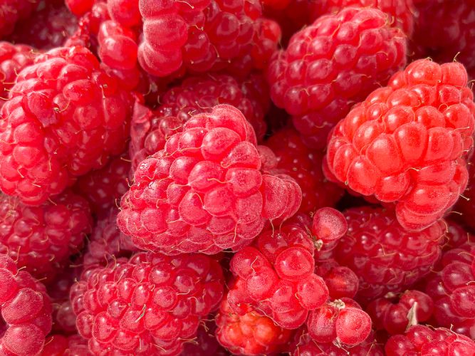 The Razzle Dazzle at a Raspberry Showcase! - BAKE! with Zing blog