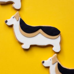 An overhead view of 3 corgi cookies decorated with fondant on a yellow background