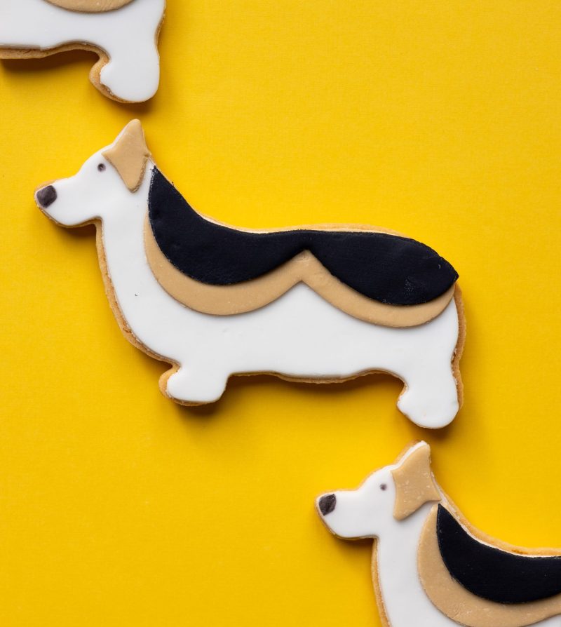 An overhead view of 3 corgi cookies decorated with fondant on a yellow background