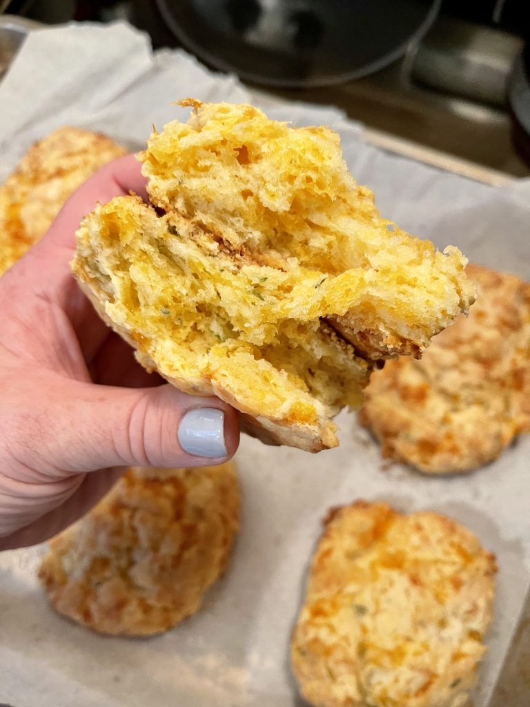A hand holds up a cheddar herb scone broken in half and placed bottom to bottom with a parchment-covered sheet tray and more scones on it.