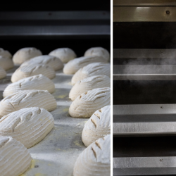 Some Like It Hot loaves of unbaked bread and an oven with steam coming out