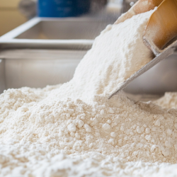 wheat in an industrial mill